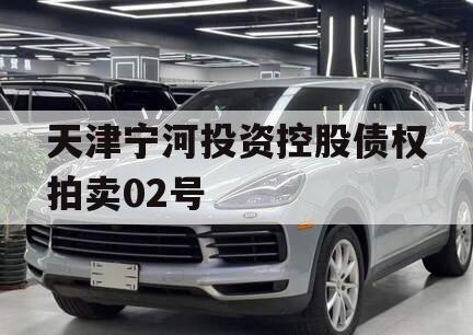 天津宁河投资控股债权拍卖02号
