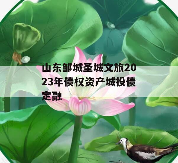 山东邹城圣城文旅2023年债权资产城投债定融