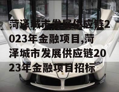 菏泽城市发展供应链2023年金融项目,菏泽城市发展供应链2023年金融项目招标