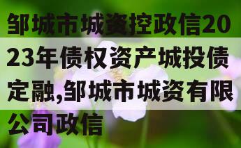 邹城市城资控政信2023年债权资产城投债定融,邹城市城资有限公司政信