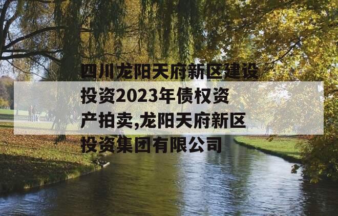 四川龙阳天府新区建设投资2023年债权资产拍卖,龙阳天府新区投资集团有限公司