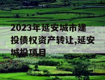 2023年延安城市建投债权资产转让,延安城投项目