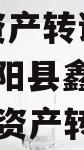 江苏射阳县鑫建债权2023年资产转让项目,江苏射阳县鑫建债权2023年资产转让项目有哪些