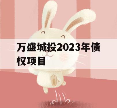 万盛城投2023年债权项目