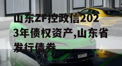 山东ZF控政信2023年债权资产,山东省发行债券