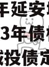 2023年延安城市建投2023年债权资产转让城投债定融
