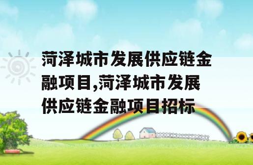 菏泽城市发展供应链金融项目,菏泽城市发展供应链金融项目招标