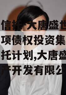 国企信托-大唐盛世8号专项债权投资集合资金信托计划,大唐盛世房地产开发有限公司