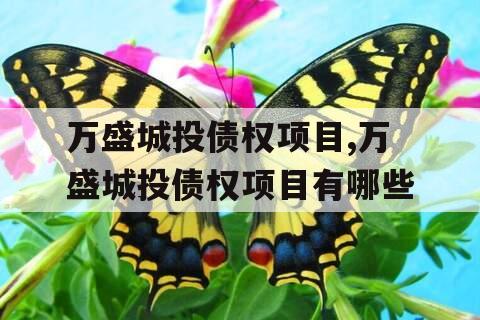 万盛城投债权项目,万盛城投债权项目有哪些