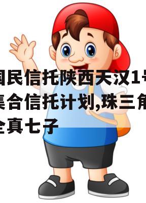 国民信托陕西天汉1号集合信托计划,珠三角全真七子