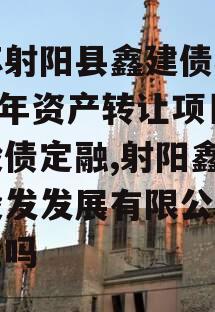 江苏射阳县鑫建债权2023年资产转让项目城投债定融,射阳鑫海建设发发展有限公司是国企吗