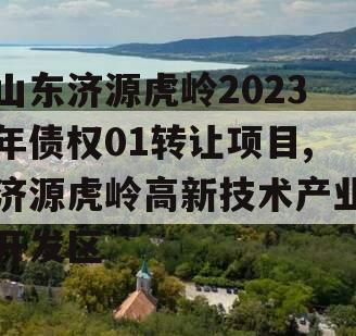 山东济源虎岭2023年债权01转让项目,济源虎岭高新技术产业开发区