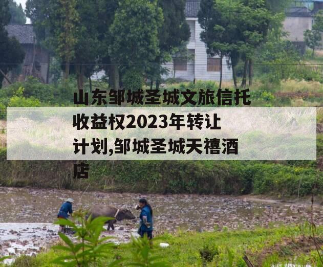 山东邹城圣城文旅信托收益权2023年转让计划,邹城圣城天禧酒店