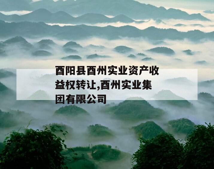 酉阳县酉州实业资产收益权转让,酉州实业集团有限公司