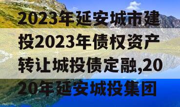 2023年延安城市建投2023年债权资产转让城投债定融,2020年延安城投集团