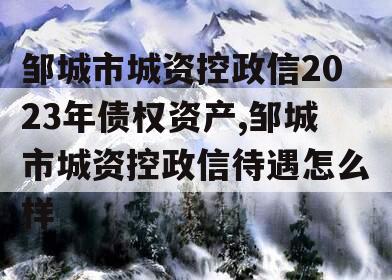 邹城市城资控政信2023年债权资产,邹城市城资控政信待遇怎么样
