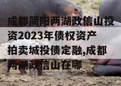 成都简阳两湖政信山投资2023年债权资产拍卖城投债定融,成都两湖政信山在哪