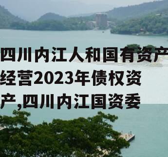 四川内江人和国有资产经营2023年债权资产,四川内江国资委