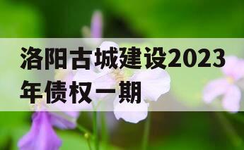 洛阳古城建设2023年债权一期