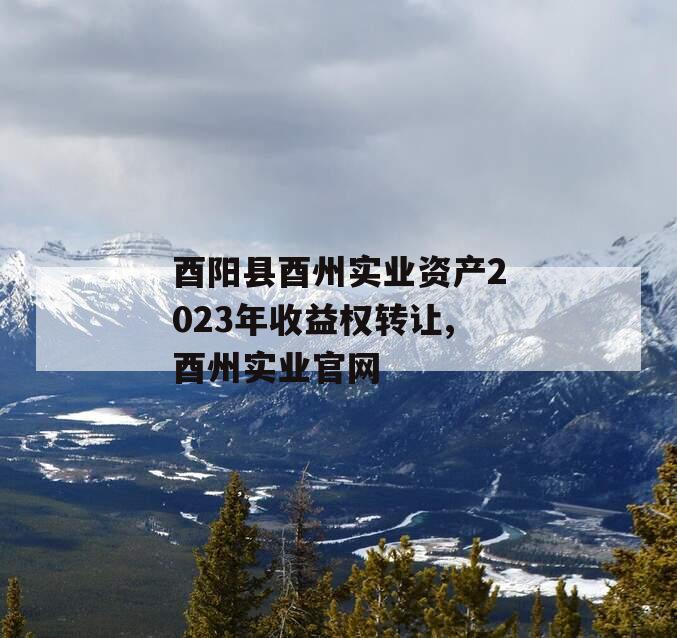 酉阳县酉州实业资产2023年收益权转让,酉州实业官网