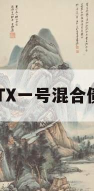 ZYTX一号混合债券