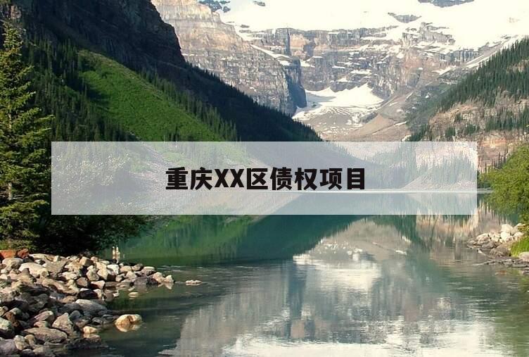 重庆XX区债权项目