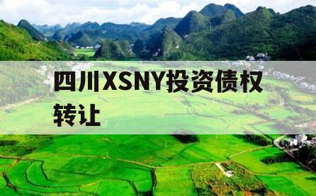 四川XSNY投资债权转让 四川XSNY投资债权转让