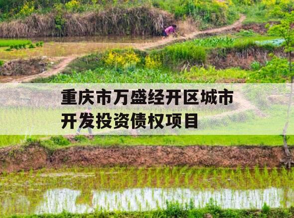 重庆市万盛经开区城市开发投资债权项目