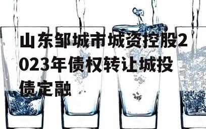 山东邹城市城资控股2023年债权转让城投债定融