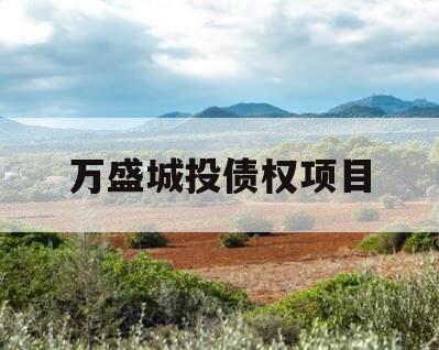 万盛城投债权项目