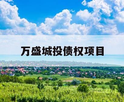 万盛城投债权项目