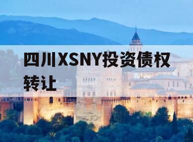 四川XSNY投资债权转让