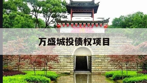 万盛城投债权项目