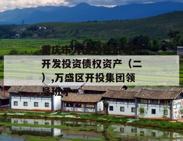 重庆市万盛经开区城市开发投资债权资产（二）,万盛区开投集团领导班子
