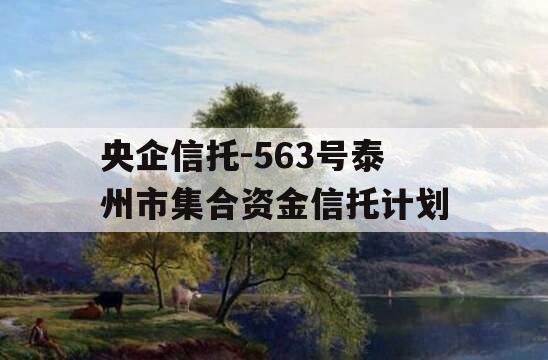 央企信托-563号泰州市集合资金信托计划