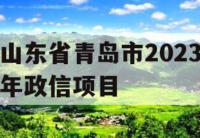 山东省青岛市2023年政信项目