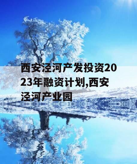 西安泾河产发投资2023年融资计划,西安泾河产业园