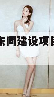 内江东同建设项目•半年期