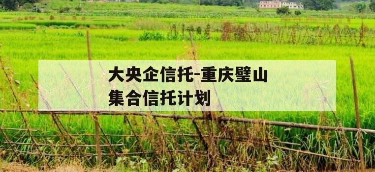 大央企信托-重庆璧山集合信托计划