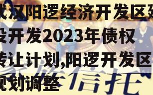 武汉阳逻经济开发区建设开发2023年债权转让计划,阳逻开发区规划调整