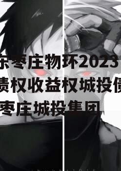 山东枣庄物环2023年债权收益权城投债定融,枣庄城投集团