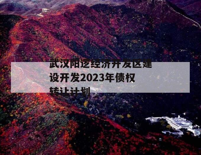 武汉阳逻经济开发区建设开发2023年债权转让计划