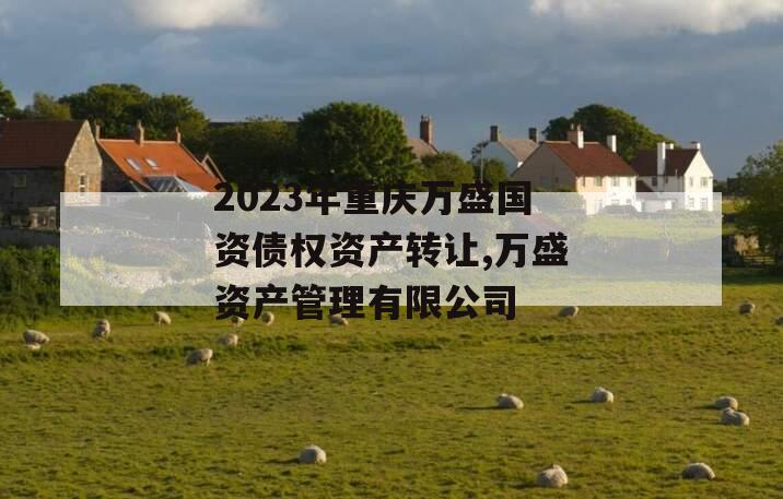 2023年重庆万盛国资债权资产转让,万盛资产管理有限公司