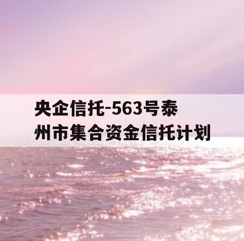 央企信托-563号泰州市集合资金信托计划