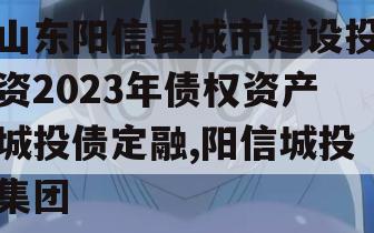 山东阳信县城市建设投资2023年债权资产城投债定融,阳信城投集团