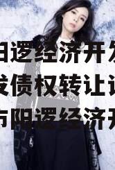 武汉阳逻经济开发区建设开发债权转让计划,武汉市阳逻经济开发区