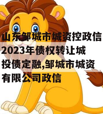 山东邹城市城资控政信2023年债权转让城投债定融,邹城市城资有限公司政信