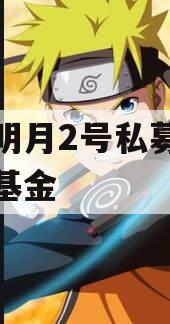 安放明月2号私募证券投资基金