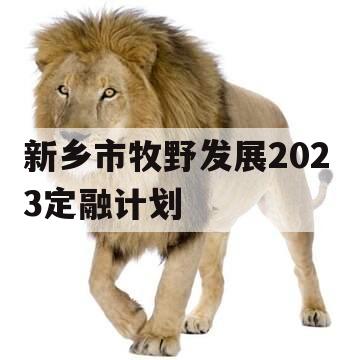 新乡市牧野发展2023定融计划