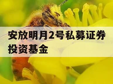 安放明月2号私募证券投资基金